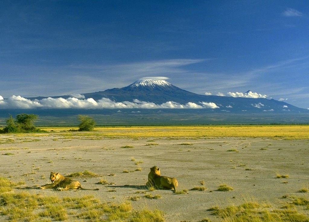 вулкана Килиманджаро, Танзания, Африка