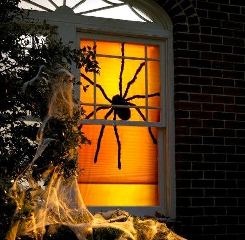 паук в окне, хэллоуин