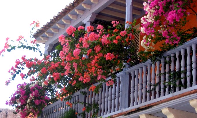 вертикалььное озеленение балкона
