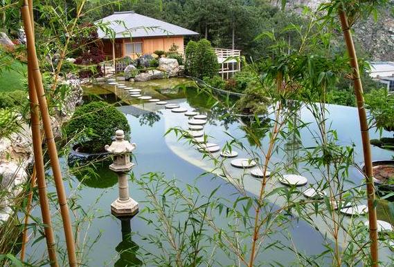японский сад бамбук